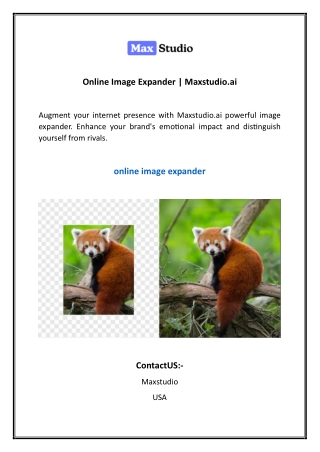 Online Image Expander Maxstudio