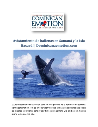 Avistamiento de ballenas en Samaná y la Isla Bacardí
