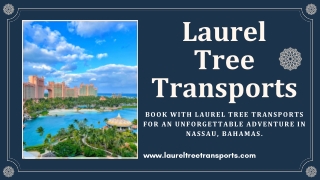 Nassau airport taxi transportation