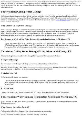 Determining Ceiling Water Damages Repair Costs: An Overview for McKinney Locals