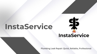 Professional Plumbing Leak Repair Services