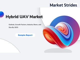 Hybrid UAV Market Industry Size, Share & Forecast to 2033: Growth Trends Explore