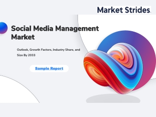 Social Media Management Market Industry Report 2023-2033: Future Trends and Grow