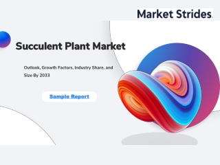 Succulent Plant Market Industry Growth Forecast: Key Drivers and Market Trends
