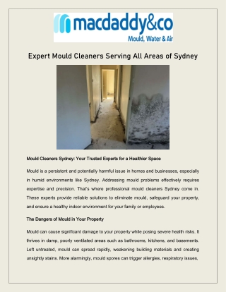 Expert Mould Cleaners Serving All Areas of Sydney