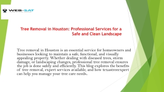 Tree Removal in Houston