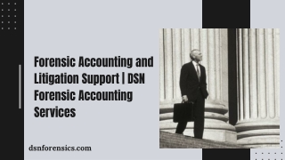 Forensic Accounting and Litigation Support  DSN Forensic Accounting Services