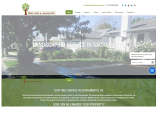 Expert Tree Trimming in Sacramento for Healthier Trees