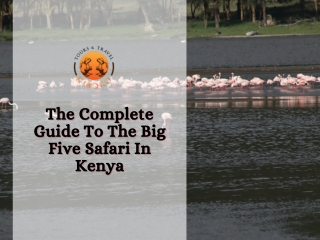 The Complete Guide To The Big Five Safari In Kenya