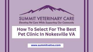 How To Select For The Best Pet Clinic In Nokesville VA