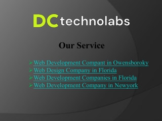 Leading Web Design Company in Florida - DC Technolabs