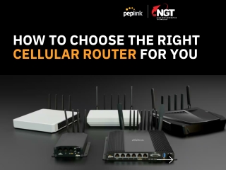 NGT technology-Peplink disti Router