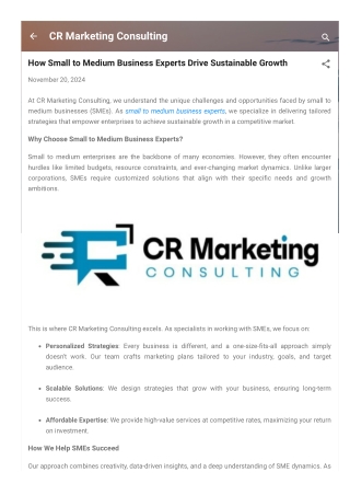How Small to Medium Business Experts Drive Sustainable Growth