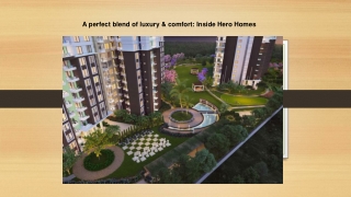 A perfect blend of luxury & comfort