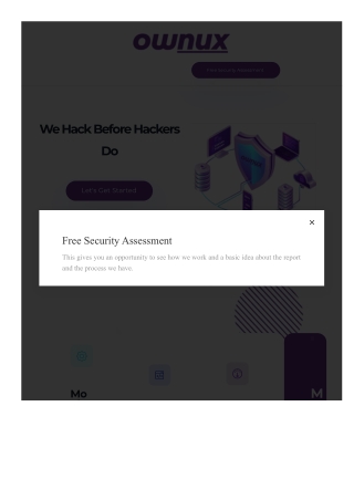 Web penetration testing