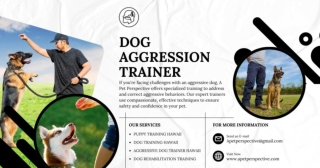 Dog Aggression Trainer