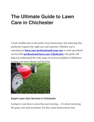 The Ultimate Guide to Lawn Care in Chichester