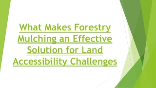 What Makes Forestry Mulching an Effective Solution for Land Accessibility Challe