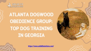 Atlanta Dogwood Obedience Group Top Dog Training in Georgia