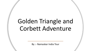Golden Triangle and Corbett Tour