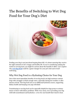 The Benefits of Switching to Wet Dog Food for Your Dog’s Diet