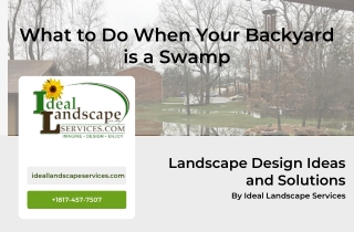 What to Do When Your Backyard is a Swamp