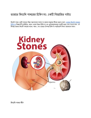 ভারতে কিডনি পাথরের চিকিৎসা_ একটি বিস্তারিত গাইড
