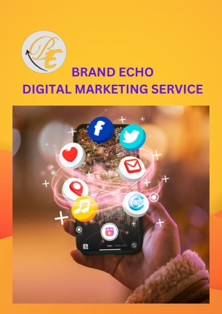 BRAND ECHO DIGITAL MARKETING SERVICE