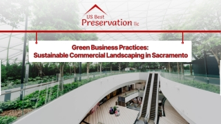 Green Business Practices Sustainable Commercial Landscaping in Sacramento
