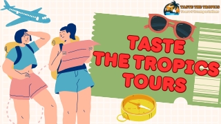 Night Life Tours Jamaica