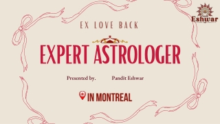 Ex love back Expert Astrologer in Montreal