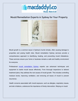 Mould Remediation Experts in Sydney for Your Property