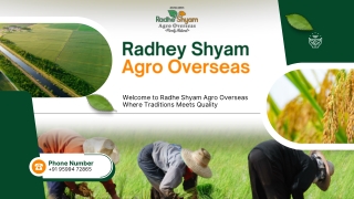 basmati rice manufacturer, distributor in telangana