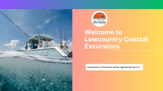 Charleston Harbor Sightseeing Tours SC