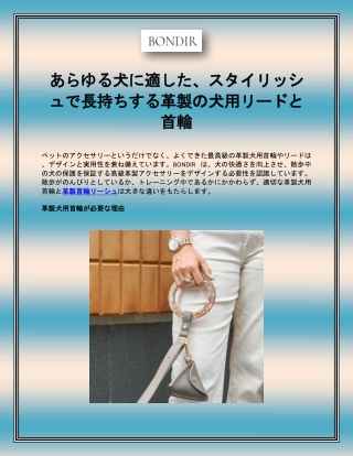 すべての子犬のための美しく耐久性のある革製の犬用リードと首輪