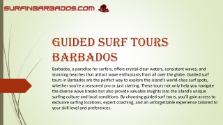 Guided Surf Tours Barbados