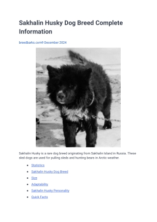 Sakhalin Husky Dog Breed Complete Information