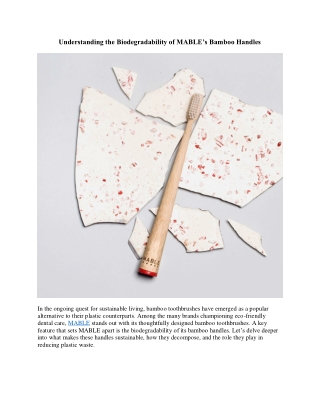 Understanding the Biodegradability of MABLE’s Bamboo Handles