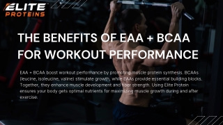 The Benefits of EAA   BCAA for Workout Performance