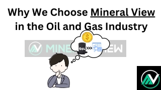 Why Choose Mineral View in the Oil and Gas Industry
