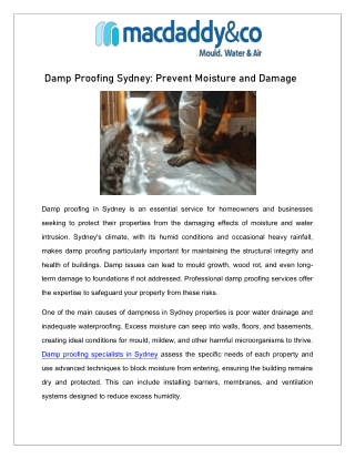 Damp Proofing Sydney: Prevent Moisture and Damage