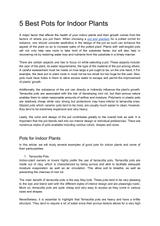 Best Pots for Indoor Plants - Stylish & Functional Options