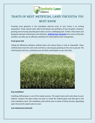 Traits of Best Artificial Lawn Vincentia You Must Know
