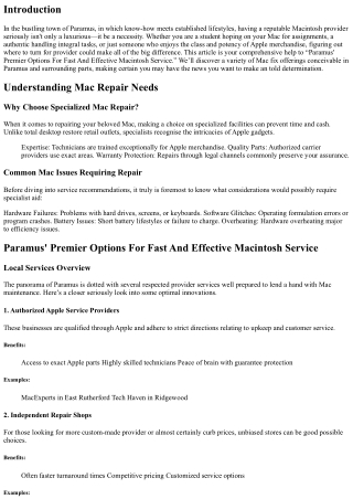 “Paramus' Premier Options For Fast And Effective Macintosh Service”
