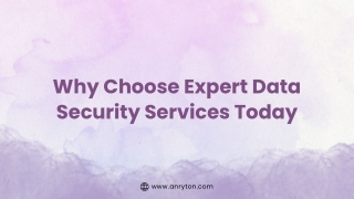 Why Choose Expert Data Security Services Today