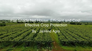 Flat Shade Net House: Efficient and Cost-Effective Crop Protection