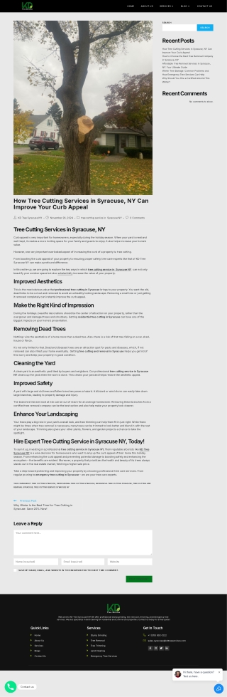 How Tree Cutting Services in Syracuse, NY Can Improve Your Curb Appeal