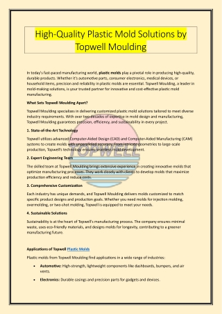 High-Quality Plastic Mold Solutions by Topwell Moulding