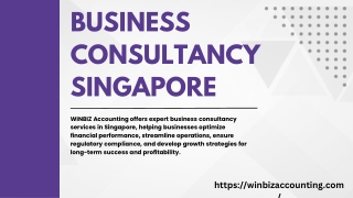 business consultancy singapore