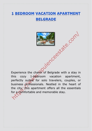 1 BEDROOM VACATION APARTMENT BELGRADE